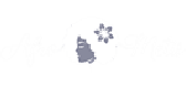 Afrometis